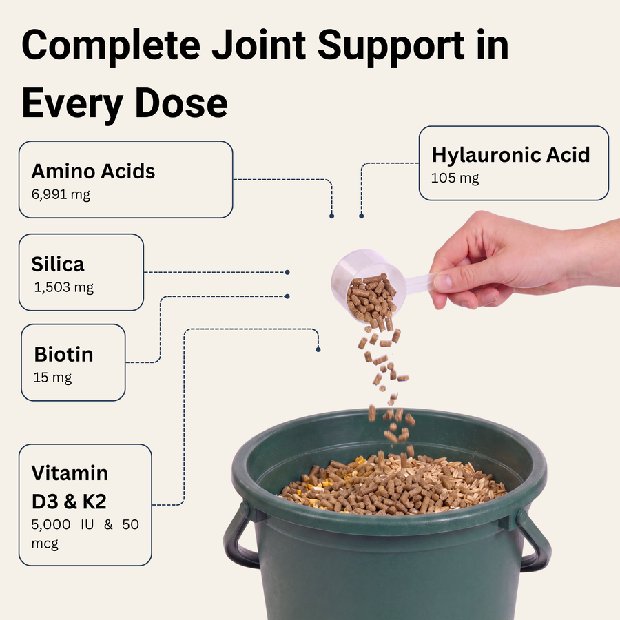 Joint Foundation Complex®